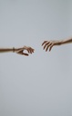 close-up-colors-couple-2838506.jpg