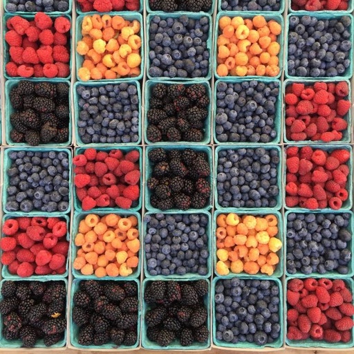 Multi 50+ spray
